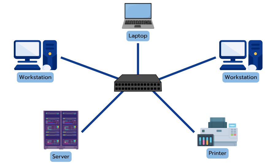 แบบดาว (Star Network)