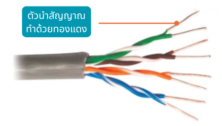 สายคู่บิดเกลียวแบบไม่มีฉนวนหุ้ม